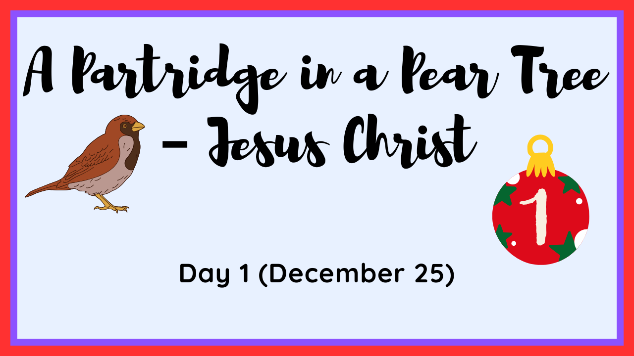 Watercolor illustration of a partridge in a pear tree